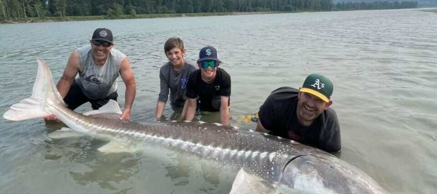 Sturgeon fishing chilliwack